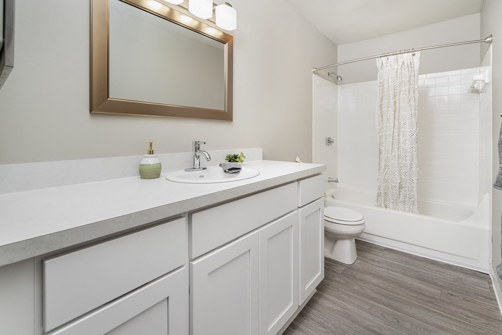 a bathroom with a sink and a toilet and a shower