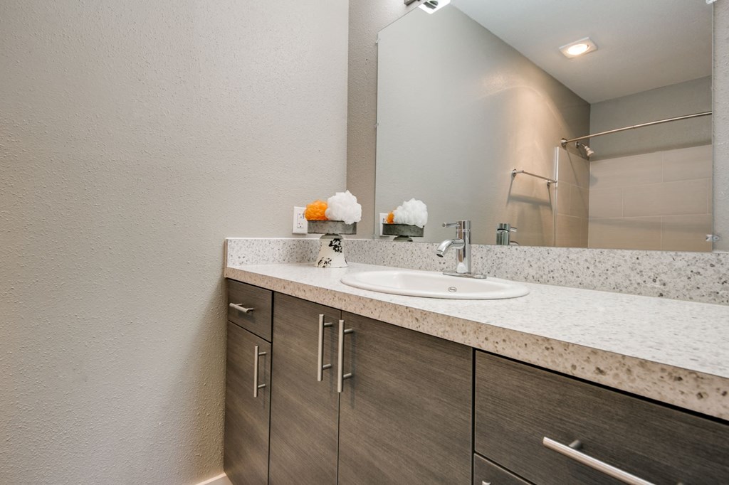 a bathroom with a sink and a mirror