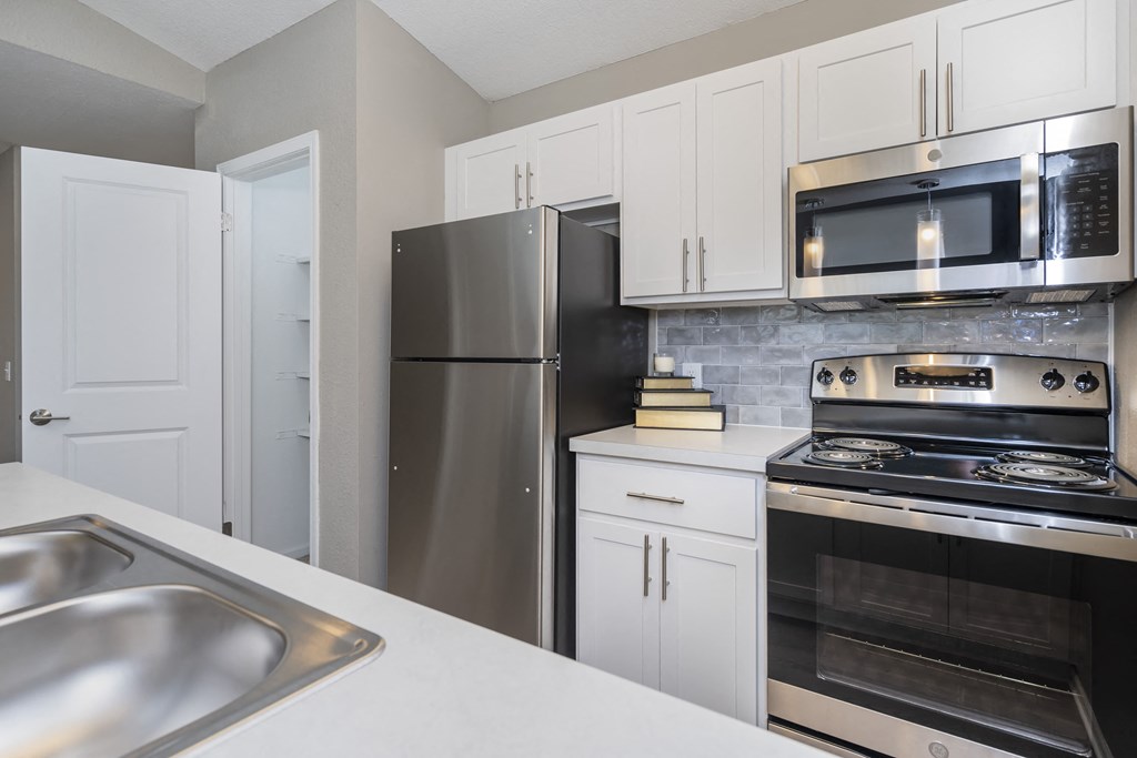 Stainless Steel Appliances