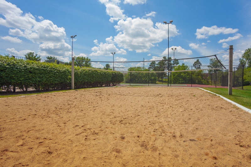 a volleyball court on a sunny day in a park