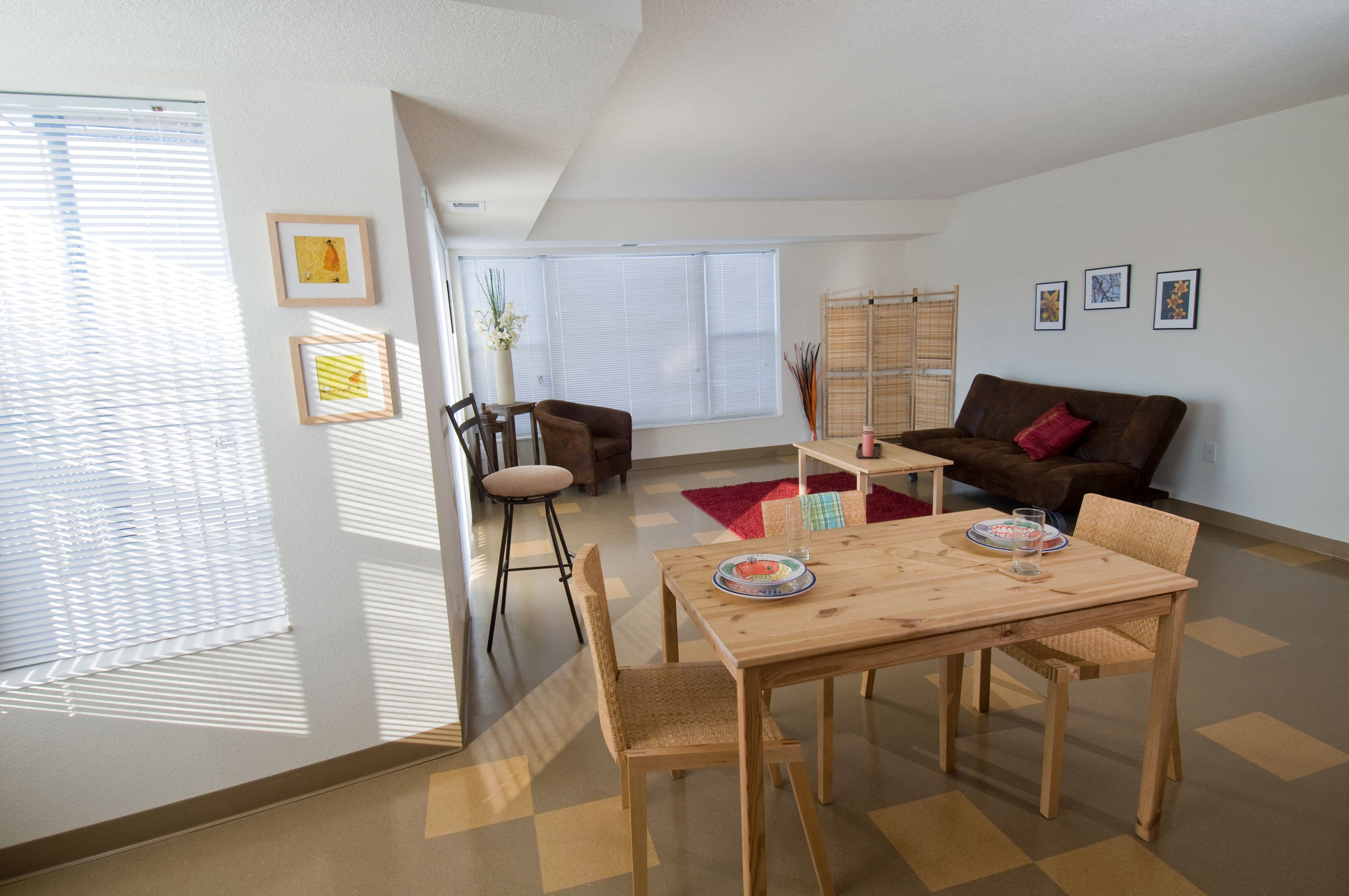 Living and Dining Area 2