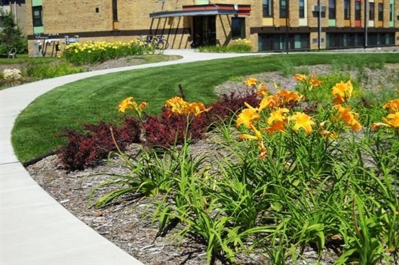 a garden on the side of a sidewalk