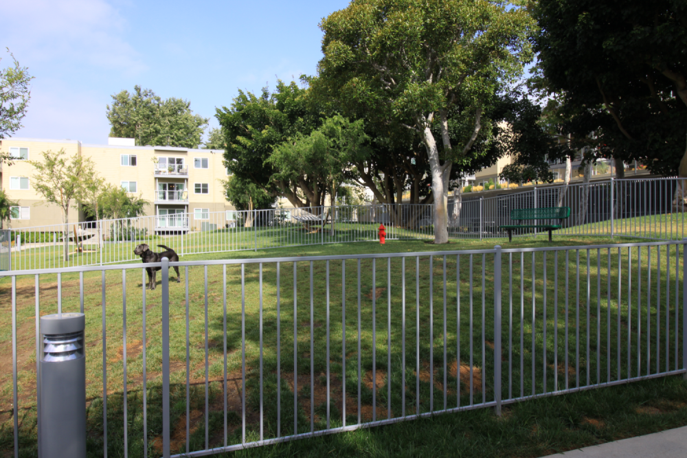 Wayfarer Marina Del Rey, CA Dog Park