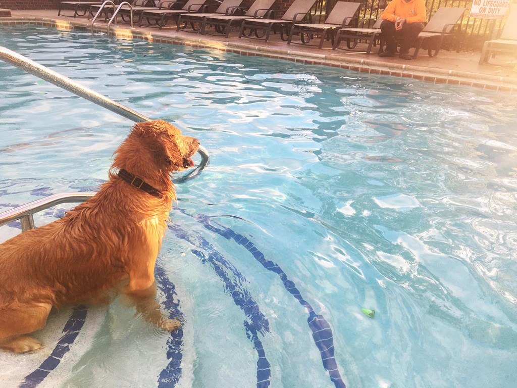 One of two pools at Aspen Lakes Estates