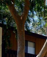 The Vineyards Apartments Glendale Az The Vineyards Apartments Glendale Az