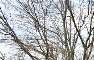 3 Bedroom Apartments Kalamazoo Mi - ttyinshpuqr