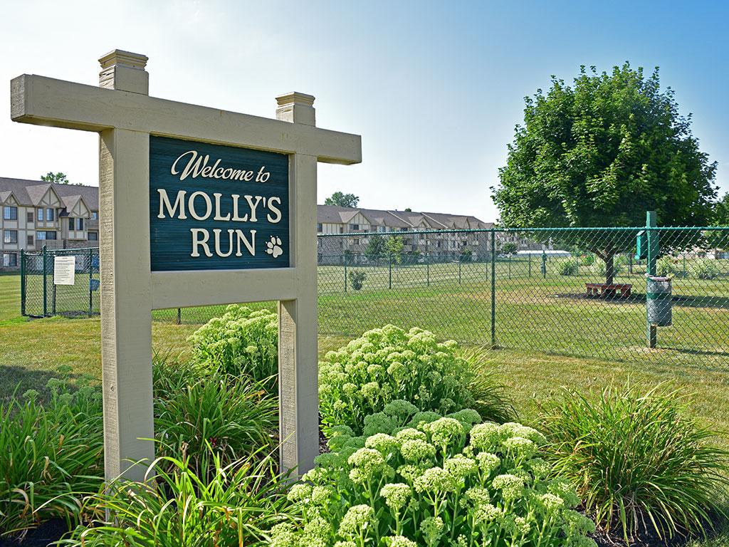 Dog Park at Thornridge Apartments, Grand Blanc, Michigan