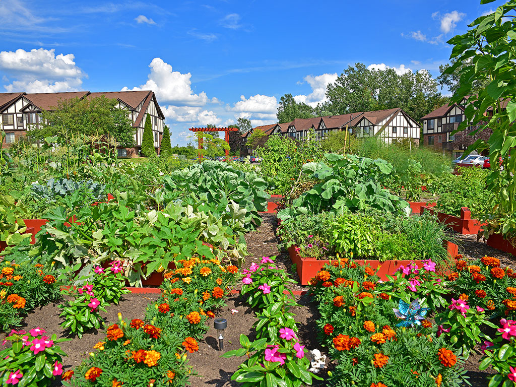 Beautiful Garden at Shannon Manor Townhouses, Davison, 48423