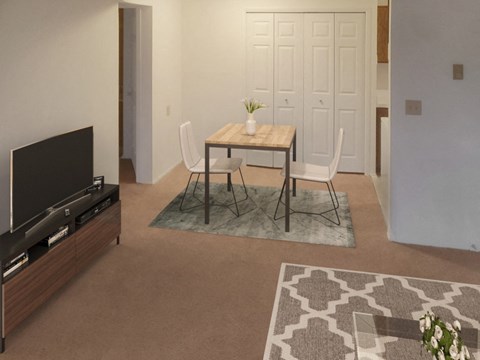 A living room with a television, a table with chairs, and a rug.