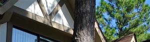 Lake in the Pines Apartments, 848 Tamarack, Fayetteville ... Lake in the Pines Apartments, 848 Tamarack, Fayetteville ...