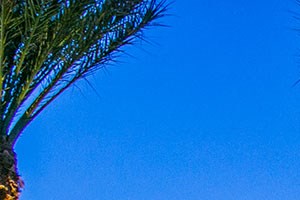 Towne Square Apartment Homes In Chandler Az Photo