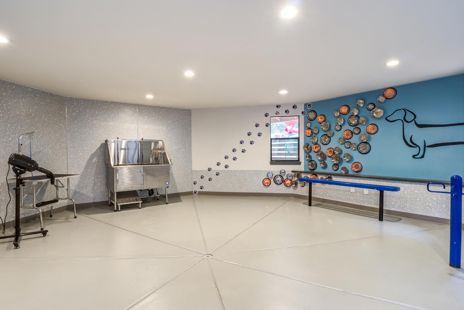 a room with a blue wall with a dog mural    and a table