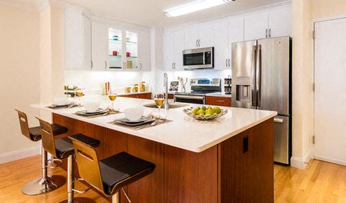 Newly renovated transitional style kitchen - Photo Gallery 1