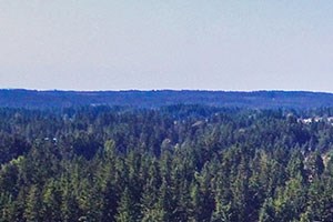 Beautiful Forest Apartments in Port Orchard, WA Near West Seattle