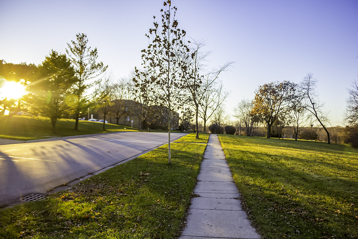 Walking Paths and Pet friendly