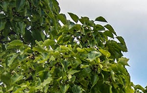 Eagle Ranch Apartments 1 2 And 3 Bedrooms In Albuquerque Nm