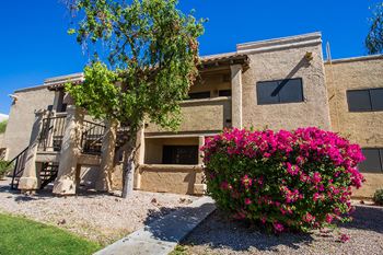 Landscaping at Laughlin Rentals Near Me