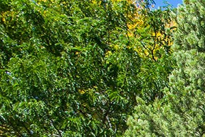 Short Term Apts for Rent in Santa Fe NM