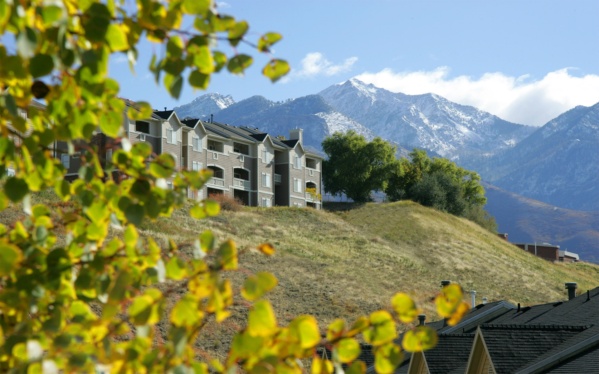 Apartment and Community Amenities Pinnacle Highland Apartments