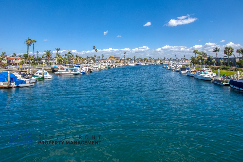 boats docked at a marina on the water with palm trees