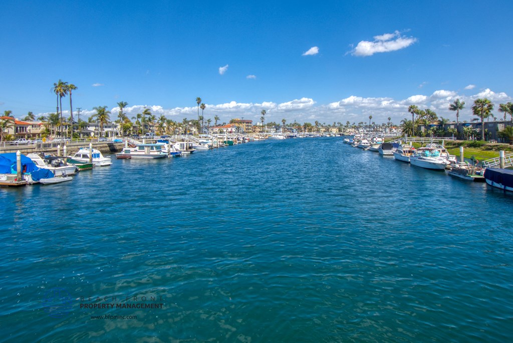 boats docked at a marina on the water with palm trees