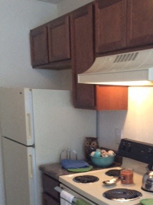Kitchen at Wayside Apartments, North Carolina a kitchen with a stove and a refrigerator