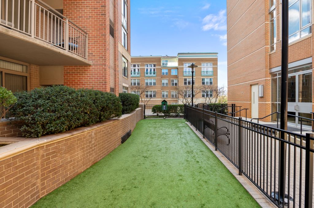 a view of the dog park at cosmo reston with artificial grass