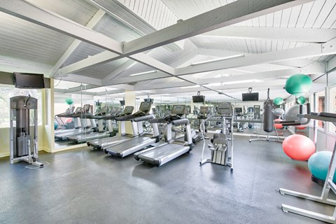 Fitness center at Mediterranean Village Apartment Homes