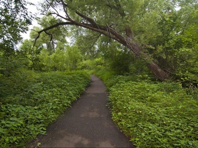 Aspen Oaks Apartments