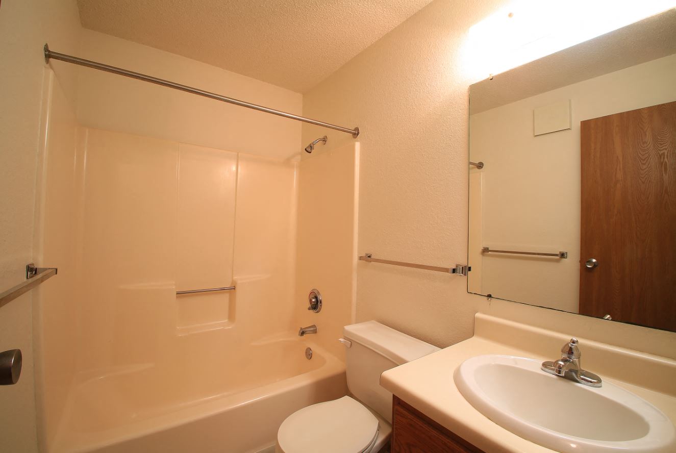 a bathroom with a sink and a toilet and a shower