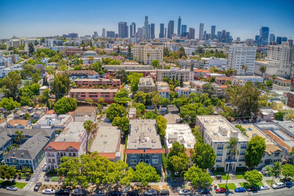 the city with the skyline in the background