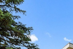Mount Prospect Il Apartments For Rent Rentcaf 233