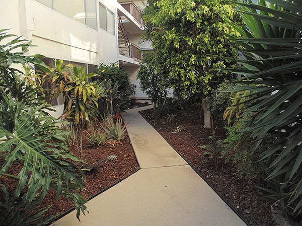 a path through a garden next to a building