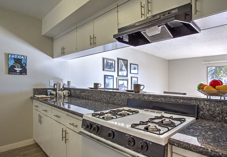 the kitchen has granite counter tops and stainless steel appliances