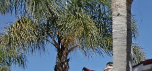 pb townhomes apartments in san diego ca