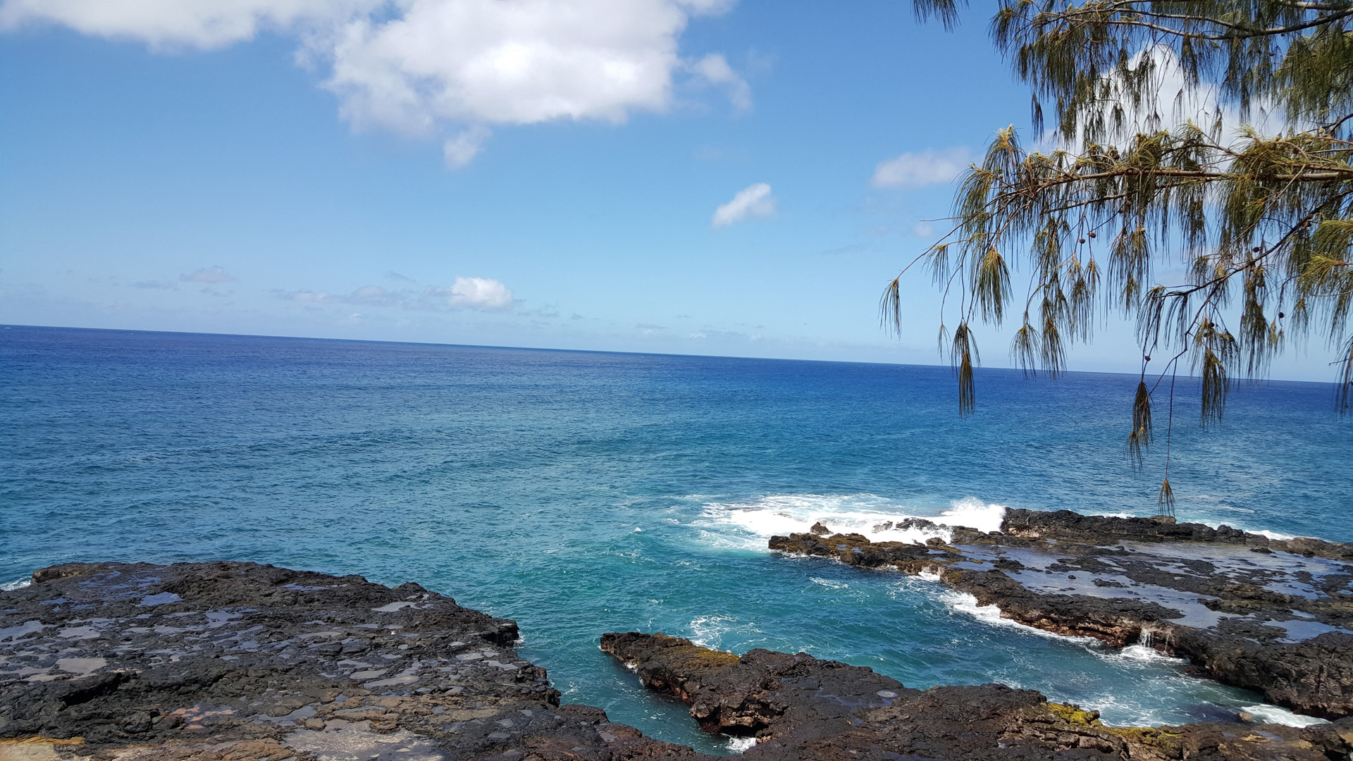 Pb Townhomes Apartments In San Diego Ca
