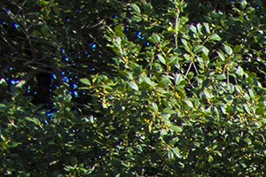 Hillendale Gate Apartments, 6612 Wycombe Way, Parkville, MD - RENTCafé