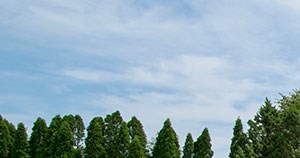 Cheap Apartments In Hoffman Estates Il Cheap Apartments In Hoffman Estates Il