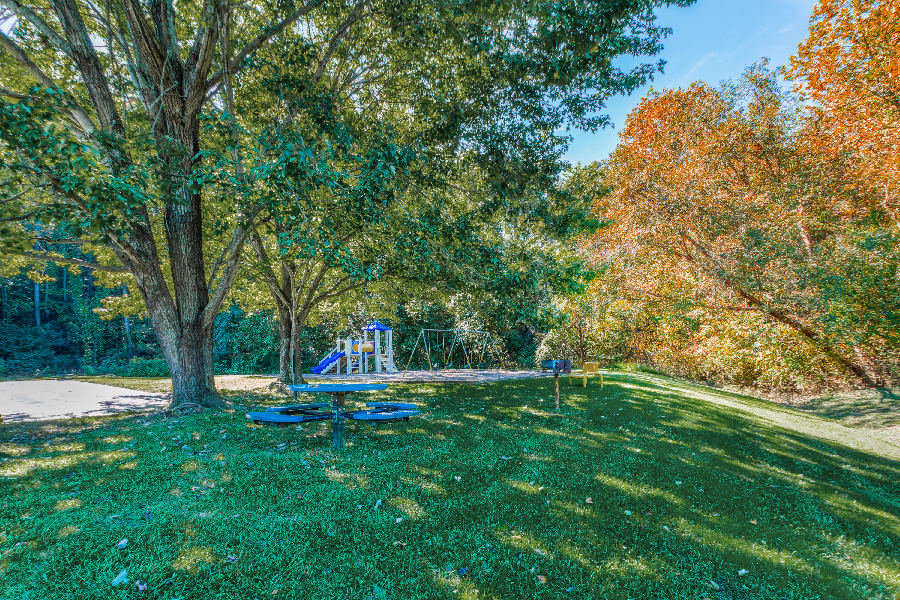 a playground in a park with trees and grass