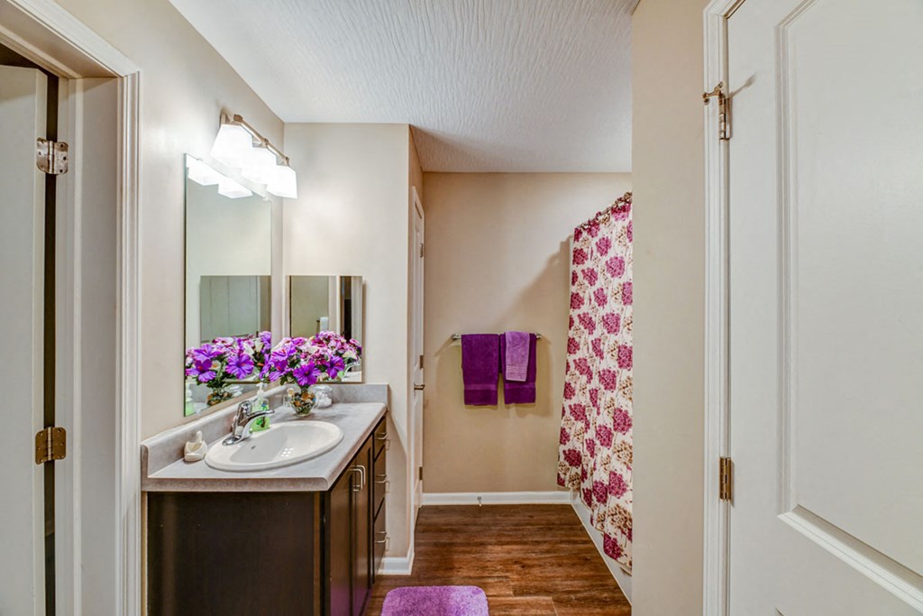 a bathroom with a sink and a shower and a mirror