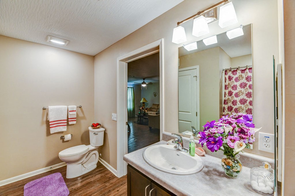 a bathroom with a sink and a toilet and a mirror