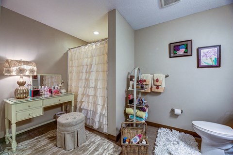 a bathroom with a vanity and a toilet and a shower