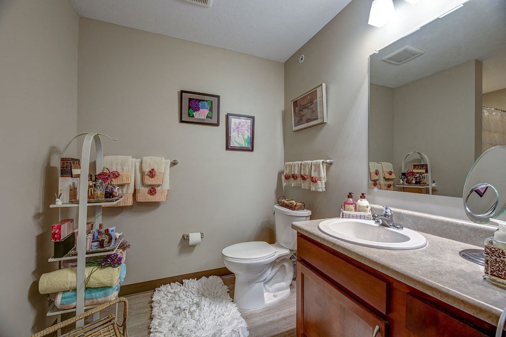 a bathroom with a toilet sink and a mirror