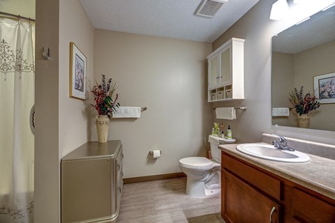 a bathroom with a toilet and a sink and a mirror