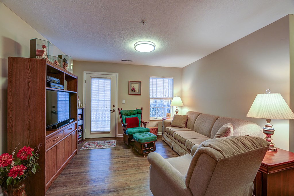 a living room with a couch and a tv