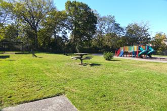a grassy area with a playground in the background