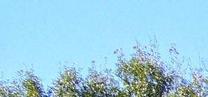 Hillcourt Apartments | Apartment and Community Amenities