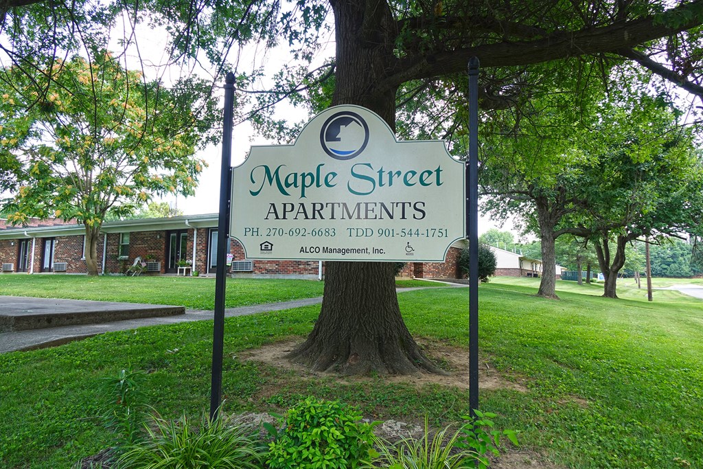 a sign for maple street apartments in front of a tree