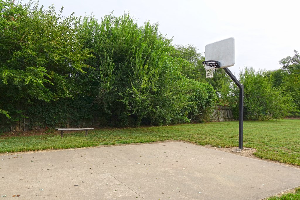 a basketball hoop and a bench in a park