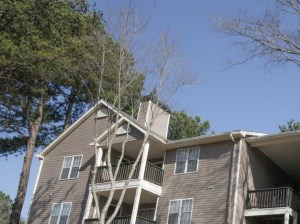 Spring Chase Apartments Atlanta Ga Spring Chase Apartments Atlanta Ga